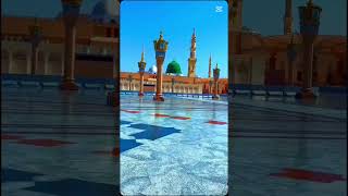 Madina Naat SharifHeart Touching NaatIslamic statusshortsviralshortfeed [upl. by Percy]