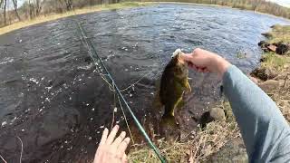 Walleye Fishing on St Croix River [upl. by Ruhl888]