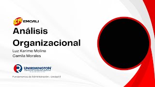 Video 1  Análisis Organizacional empresarial EMCALI [upl. by Harias]