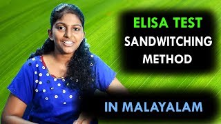 Elisa Test explained in Malayalam Sandwiching method2018 [upl. by Esenej]