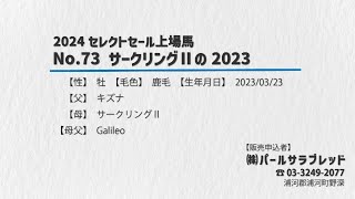 【セレクトセール2024】No73 サークリングⅡの2023 父キズナ [upl. by Elison924]