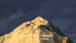 East Forest  Beatific Official Audio [upl. by Hakan]