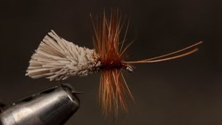 Goddard Caddis [upl. by Alitta]