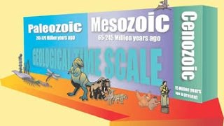 The Geologic Timescale [upl. by Tezzil]