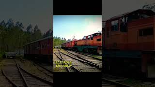 Pattipola highest railway station sri lanka srilankarailway travelsrilanka srilankatrain [upl. by Akilaz574]