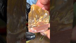 Cutting Wildfire Plume Agate [upl. by Araic980]