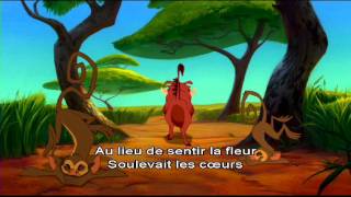 Le Roi Lion  Karaoké  Hakuna Matata I Disney [upl. by Jolie]