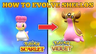 How To Evolve Shellos Into Gastrodon In Pokemon Scarlet and Violet [upl. by Conti]