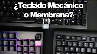 ¿Vale la pena un Teclado Mecánico  Diferencia de Teclado Mecánico vs Membrana Proto HW [upl. by Mussman135]