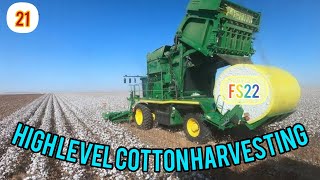 cotton harvesting big machine fs22cottonfs22gaming games gameplay fs23deepfarming [upl. by Jansson]