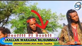 Gaaffii fi Deebii Jaallan Waraana Bilisummaa Oromoo Zoonii Lixaa Waliin Taasifne itti dhiyaadha ✍️💯 [upl. by Llirred815]