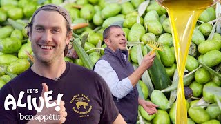 Brad Makes Olive Oil In Italy  Its Alive  Bon Appétit [upl. by Netaf]