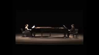 The Swan SaintSaens  DampB Piano Duo [upl. by Macintosh591]