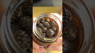 Pinecone Jam… it’s a thing [upl. by Sondra750]