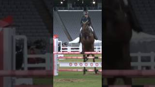 Saint boy did amazing horse horsey edits equestrian equestrianvibes horses jumping riding [upl. by Allissa]