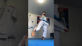 KANSETSU GERI TRAINING  KARATE KICK WORK [upl. by Gracye]