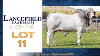 Lot 11 Lancefield M Faulkner 7999 [upl. by Matheny]