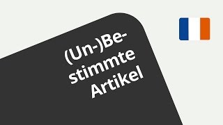 Übungsvideo die Artikel und der Teilungsartikel  Französisch  Grammatik [upl. by Velvet]