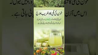 Khoon ki kami ka ilaj kyun zaroori hai  Blood Deficiency Treatment in Urdu [upl. by Petr996]