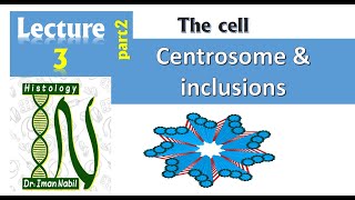 3b Centrosome and cell inclusions CellHistology [upl. by Hillel777]