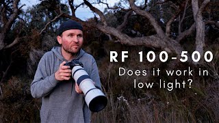 Canon RF 100500 Does it WORK in LOW LIGHT amp with Teleconverters SURPRISING Results [upl. by Enomahs]