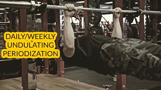 Daily and Weekly Undulating Periodization What is ItHow to Apply It [upl. by Janela]