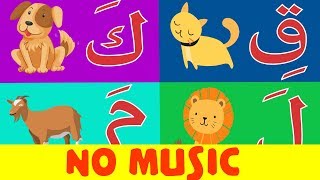 Arabic alphabet song no music 10  Chanson Alphabet arabe sans musique 10  10 أنشودة الحروف العربية [upl. by Merill]