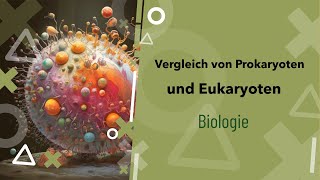 Pro und Eukaryoten im Vergleich Was ist der Unterschied  Zelle  Beispiele  Zellkern [upl. by Mchale117]