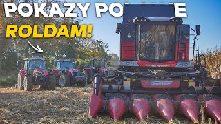 ☆Pokazy Polowe z firmą RolDam☆Massey Ferguson☆Amazone☆Rolex☆Geringhoff☆AgroGrzechu☆ [upl. by Deste]