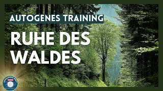 AUTOGENES TRAINING mit Waldgeräuschen Tiefenentspannung und Stressabbau 🌲💤 [upl. by Oecile]