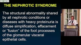 3 Renal Pathology in 2019 Part 1 [upl. by Shir]