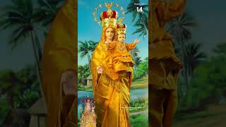 Arokiya Mathave Amma Vailankanni Shrine Basilica 14102024 Tamil Catholic Christian WhatsApp Status [upl. by Winonah]