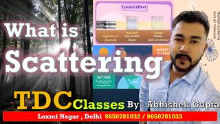 know about Scattering of light  Science facts CET DelhiCEt polytechnic Diploma upsc GS GK [upl. by Ecyor392]