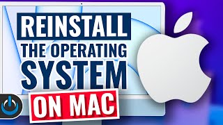 How To Reinstall macOS On ANY Mac [upl. by Atteynad374]