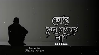 Tore Vule Jawar Lagi  তোরে ভুলে যাওয়ার লাগি  Samz Vai  Slowedreverb  NSunlimited1 [upl. by Gierc]