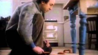 Red Dwarf  Holly  Norman Lovett  RARE Commercial [upl. by Utas307]