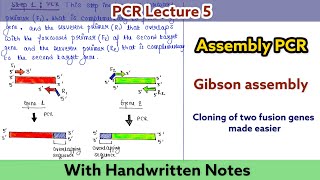 Assembly PCR  Gibson assembly  Types of PCR  PCR Lecture series [upl. by Magnusson]