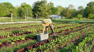 Spring Harvest Timelapse [upl. by Paco500]