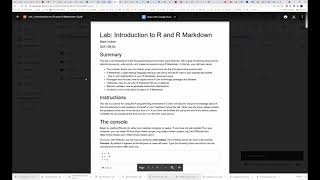 How to write on a pdf file with Google Docs [upl. by Hammock366]