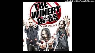 The Winery Dogs  War Machine [upl. by Rehsu]