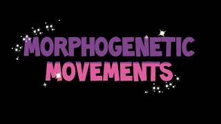 Morphogenetic Movements  Developmental Biology  CSIR  Life sciences [upl. by Wolenik541]