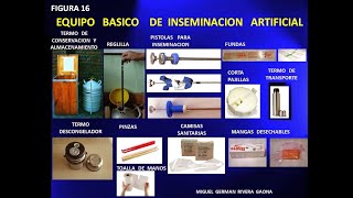 SUMATE AL 1º CURSO ONLINE GRATUITO SOBRE INSEMINACION ARTIFICIAL EN BOVINOS Aprende conmigo [upl. by Asyar926]