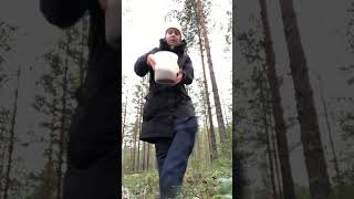 berries lingonberry forest suomi finland viral youtubeshorts metsä mökki [upl. by Irol486]