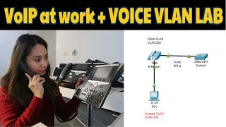 VoIP Basics  Real world implementation  Voice VLAN configurationPacket Tracer [upl. by Aikat]