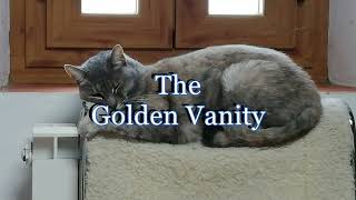 Graham Irwin  The Golden Vanity  with lyrics in the description [upl. by Tallulah]