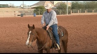 How to Choose Leather Split Reins for Horses with Ken McNabb [upl. by Yate760]