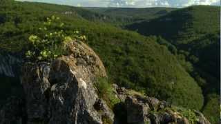 Le Tarn et Garonne au fil de vos envies [upl. by Kramlich105]