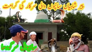 Mazar Hazrat Nanga Peer Saiyan Darbar sahiwal village in pakistan ducky pendu village [upl. by Telfore]