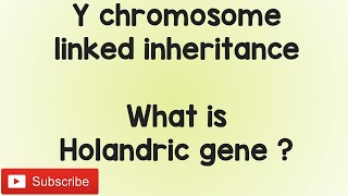 Y linked inheritance What is holandric gene neet biology [upl. by Assin624]