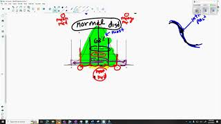 Z scores and normal curve intro [upl. by Lentha107]